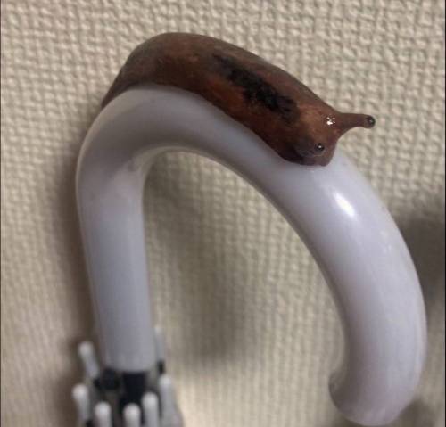 비 오는 날 우산을 뺏기지 않기 위한 사람들의 꿀팁
