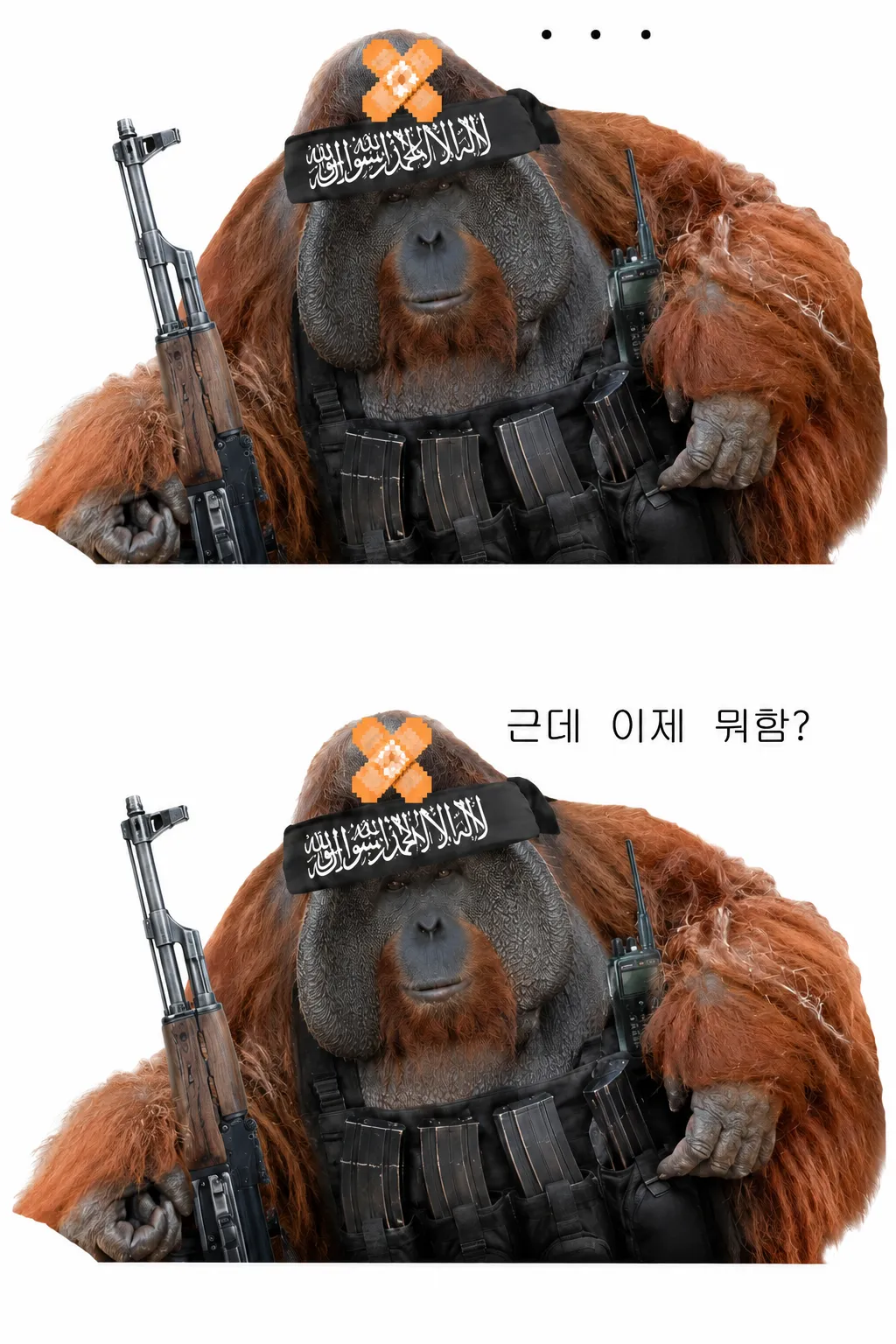 아프가니스탄 탈레반 근황