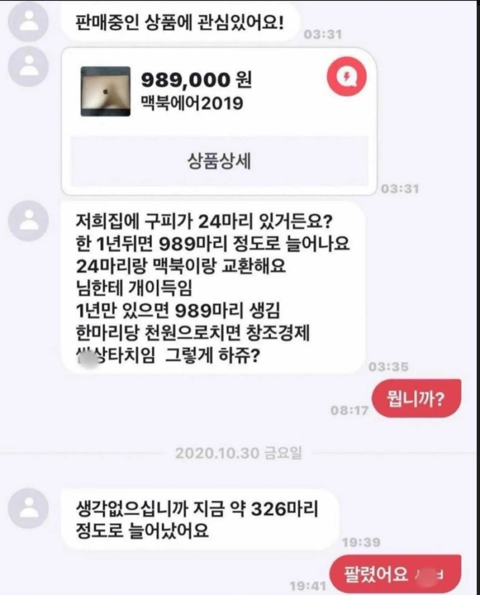 당근마켓 구피코인 ㄷㄷ