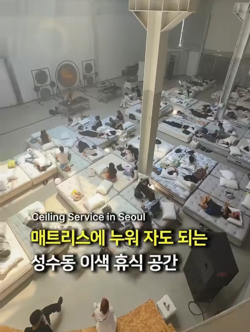 성수동 핫플 근황