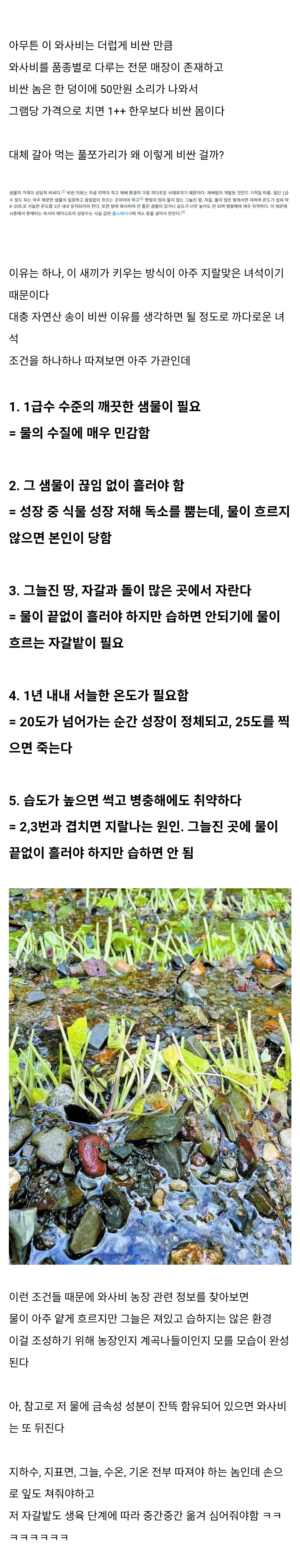 와사비가 비싼 이유
