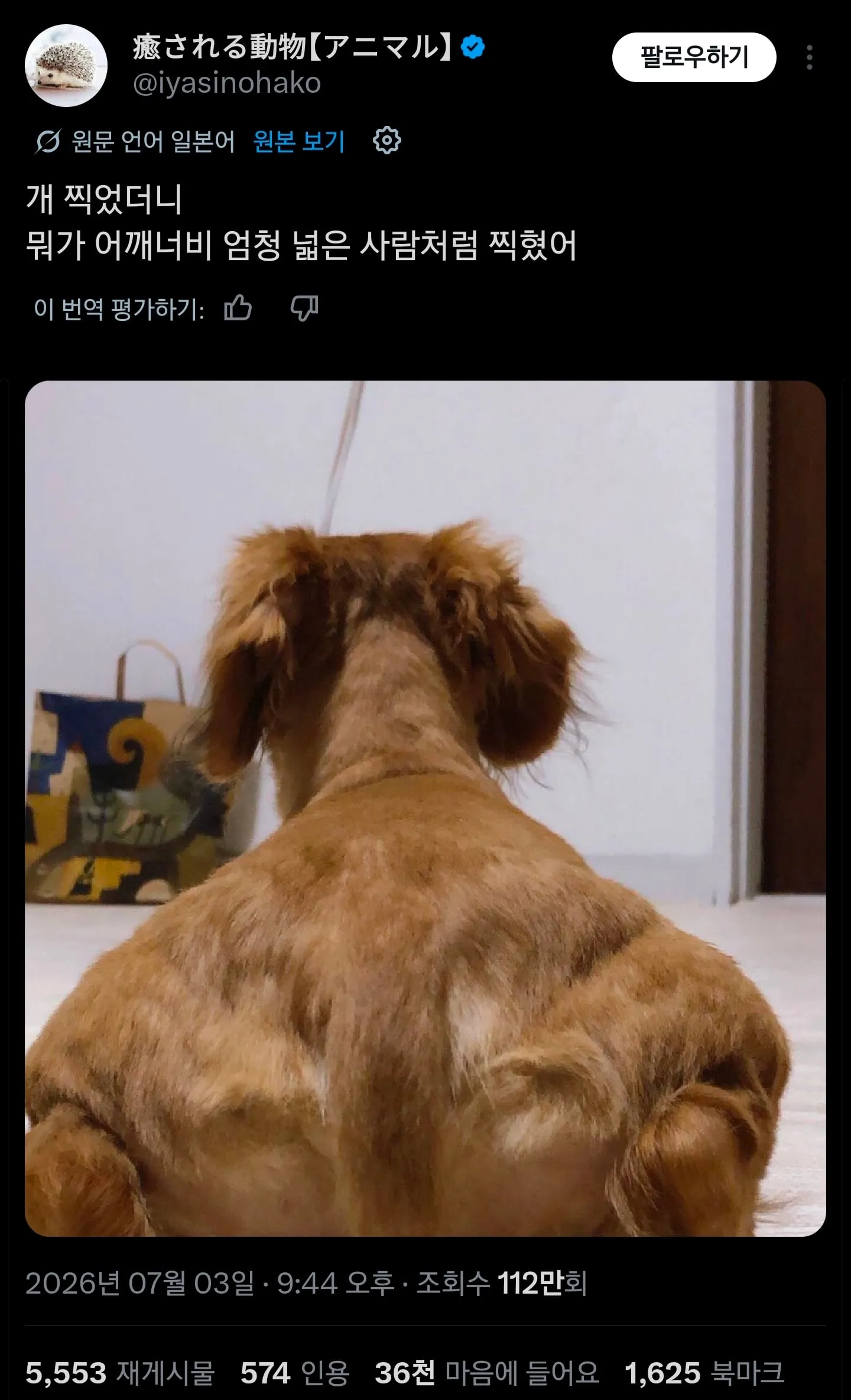 개보다 어깨 좁으면 개추