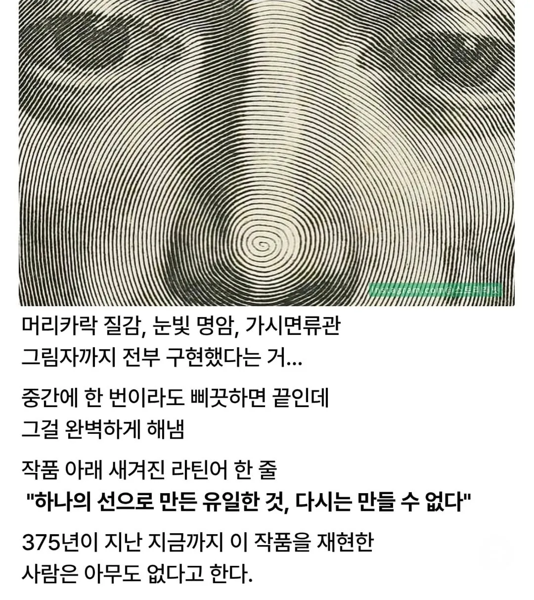 오직 선 하나로만 그린 그림