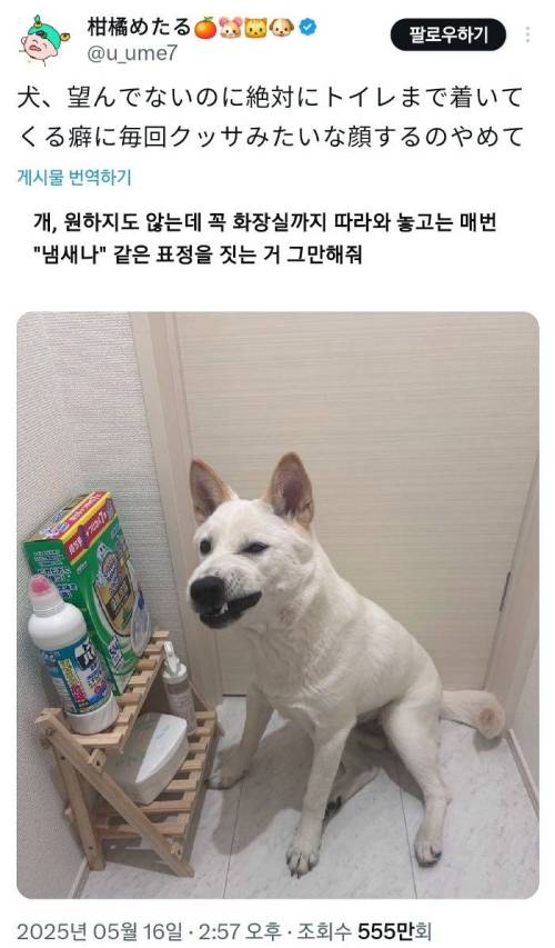 원하지도 않는데 꼭 화장실까지 따라와 놓고는