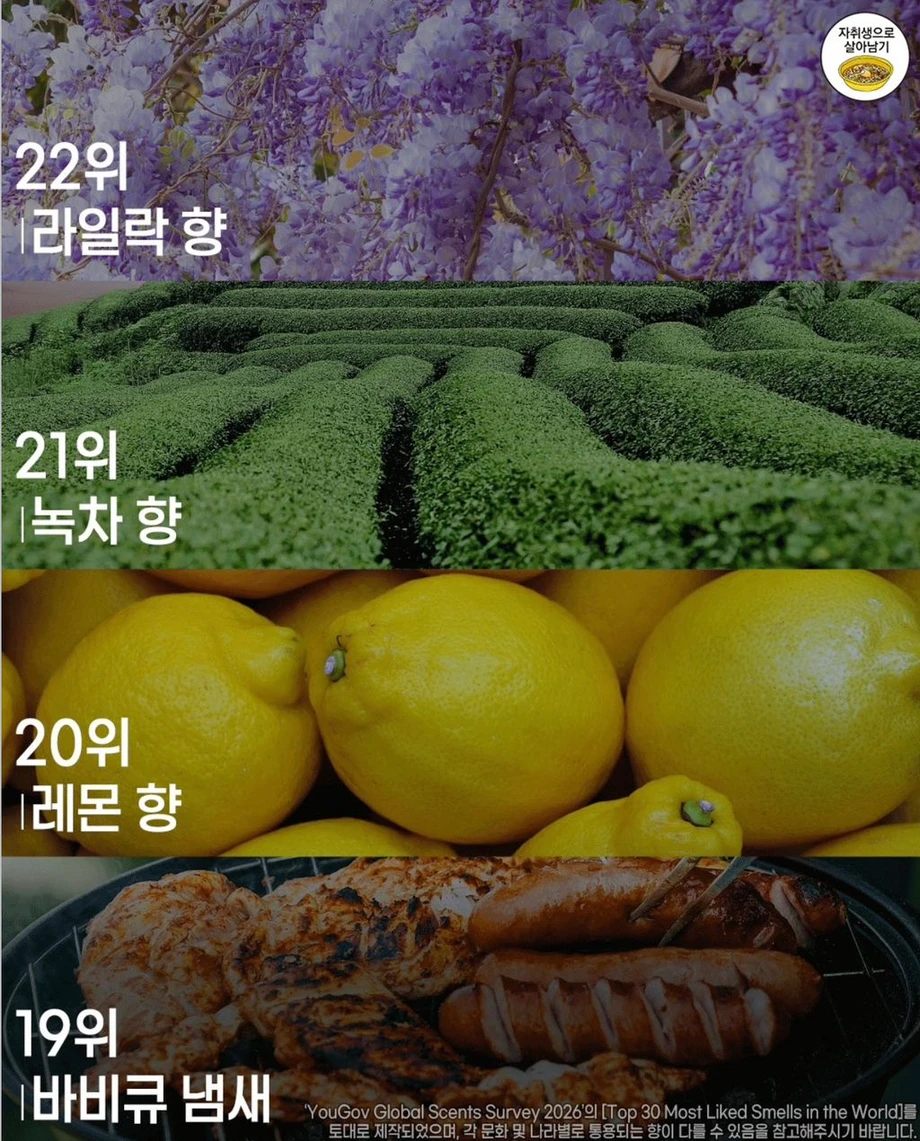 사람들이 가장 좋아하는 향 순위
