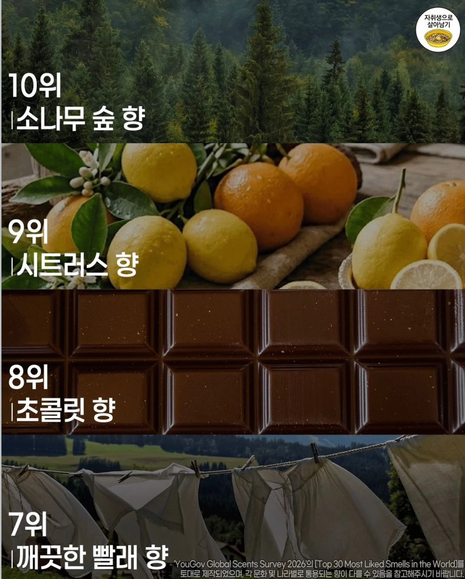 사람들이 가장 좋아하는 향 순위