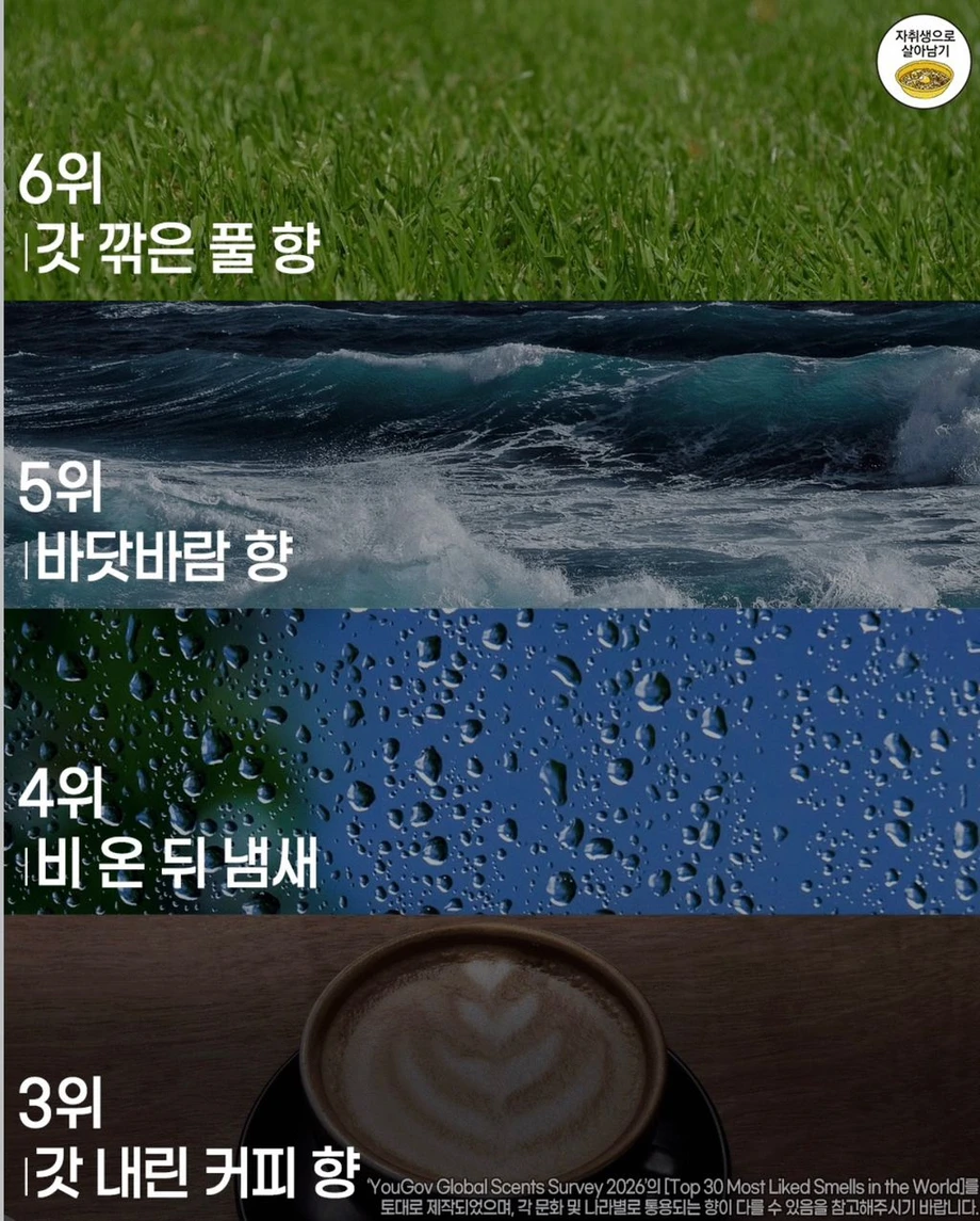 사람들이 가장 좋아하는 향 순위
