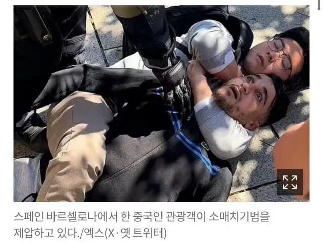 좆밥인줄알고 소매치기하면 생기는일