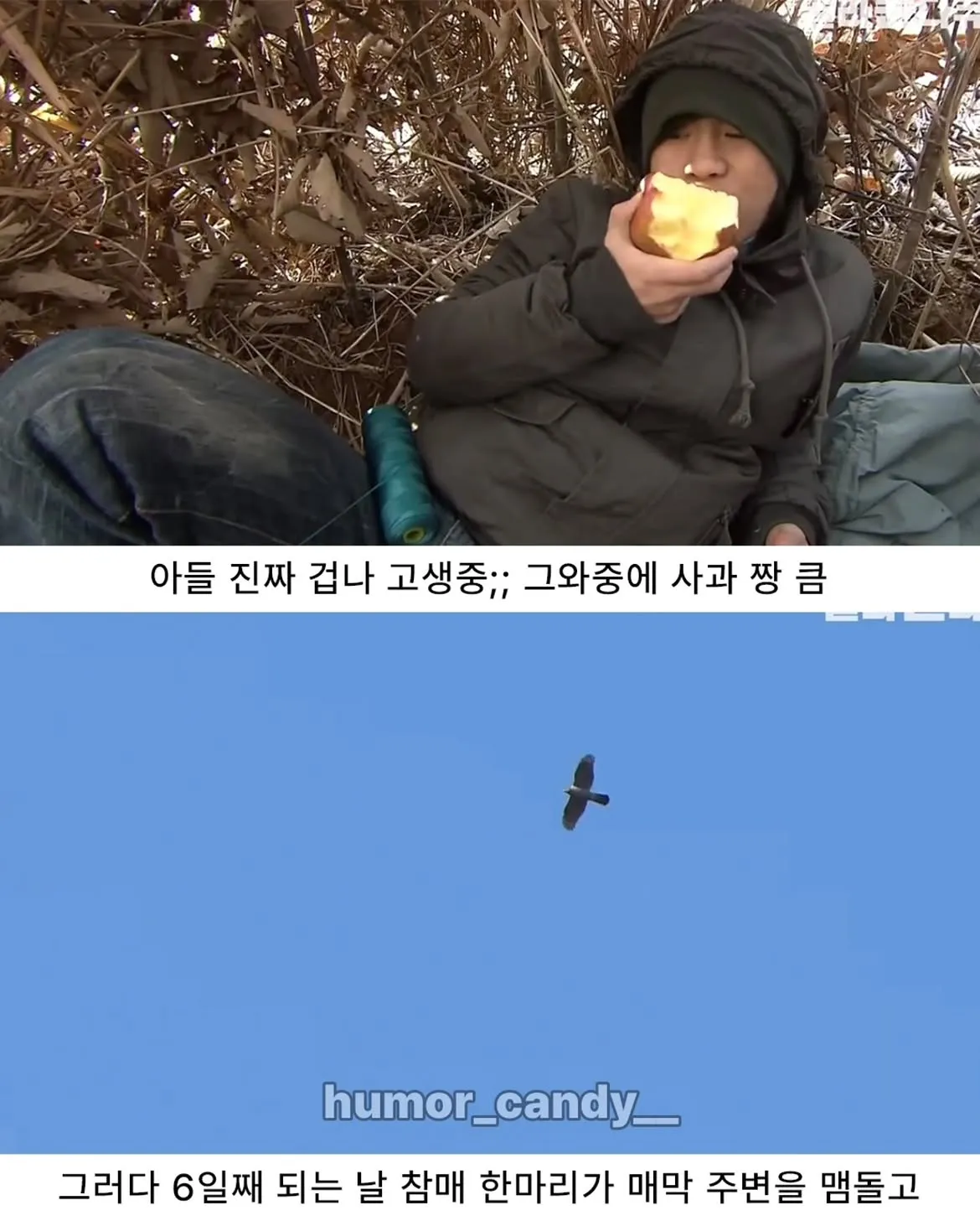 낭만터지는 K드루이드의 탄생