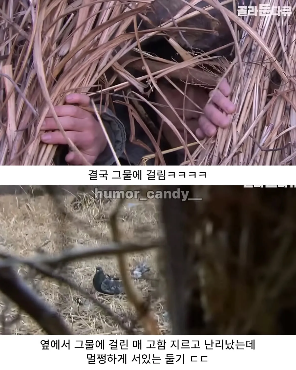 낭만터지는 K드루이드의 탄생