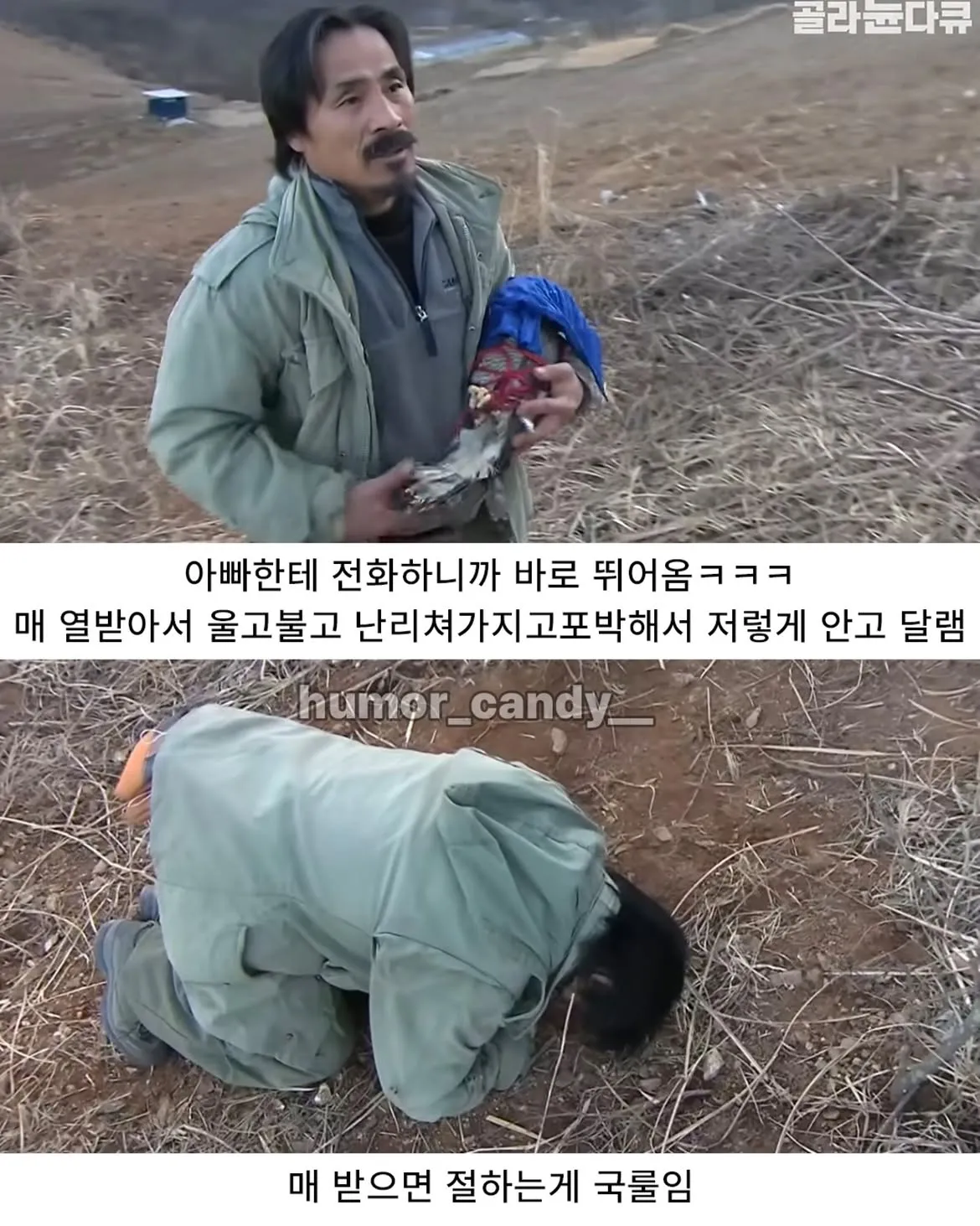 낭만터지는 K드루이드의 탄생
