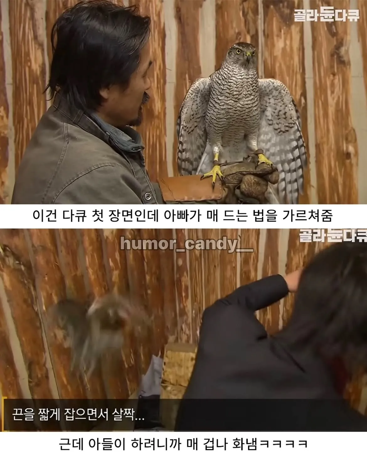 낭만터지는 K드루이드의 탄생