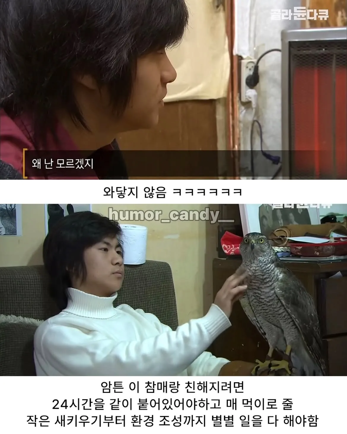 낭만터지는 K드루이드의 탄생