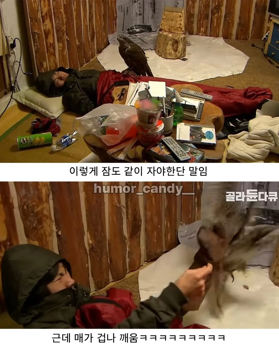 낭만터지는 K드루이드의 탄생
