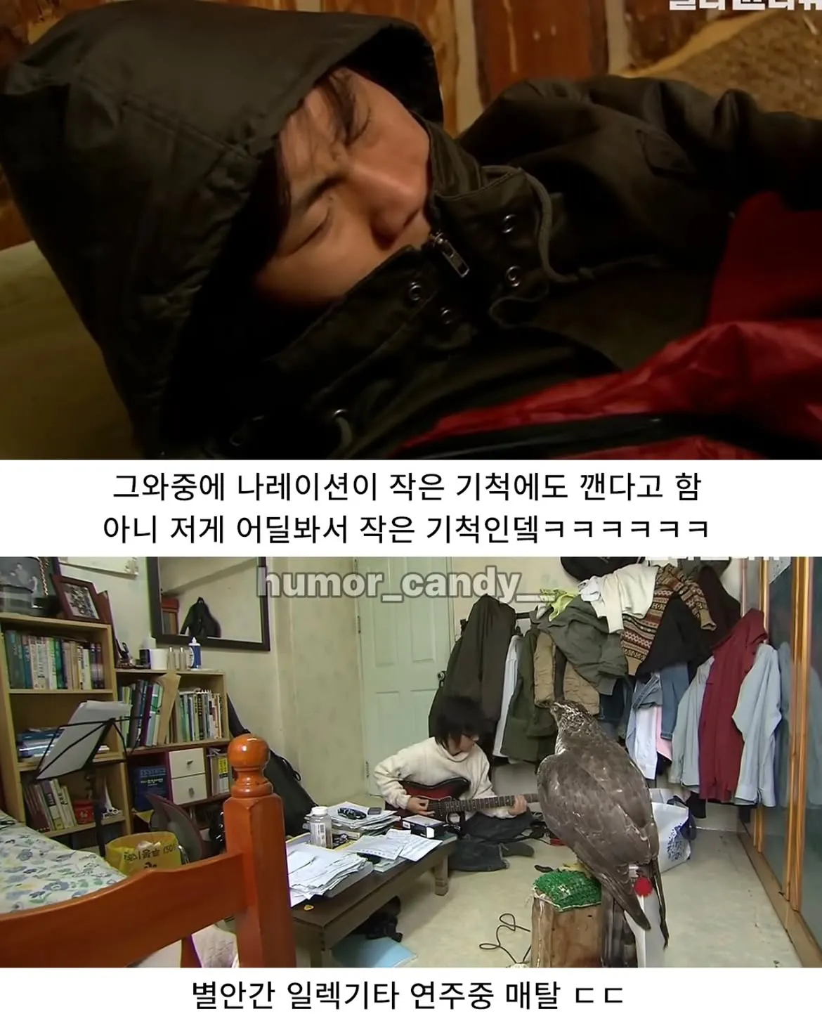 낭만터지는 K드루이드의 탄생