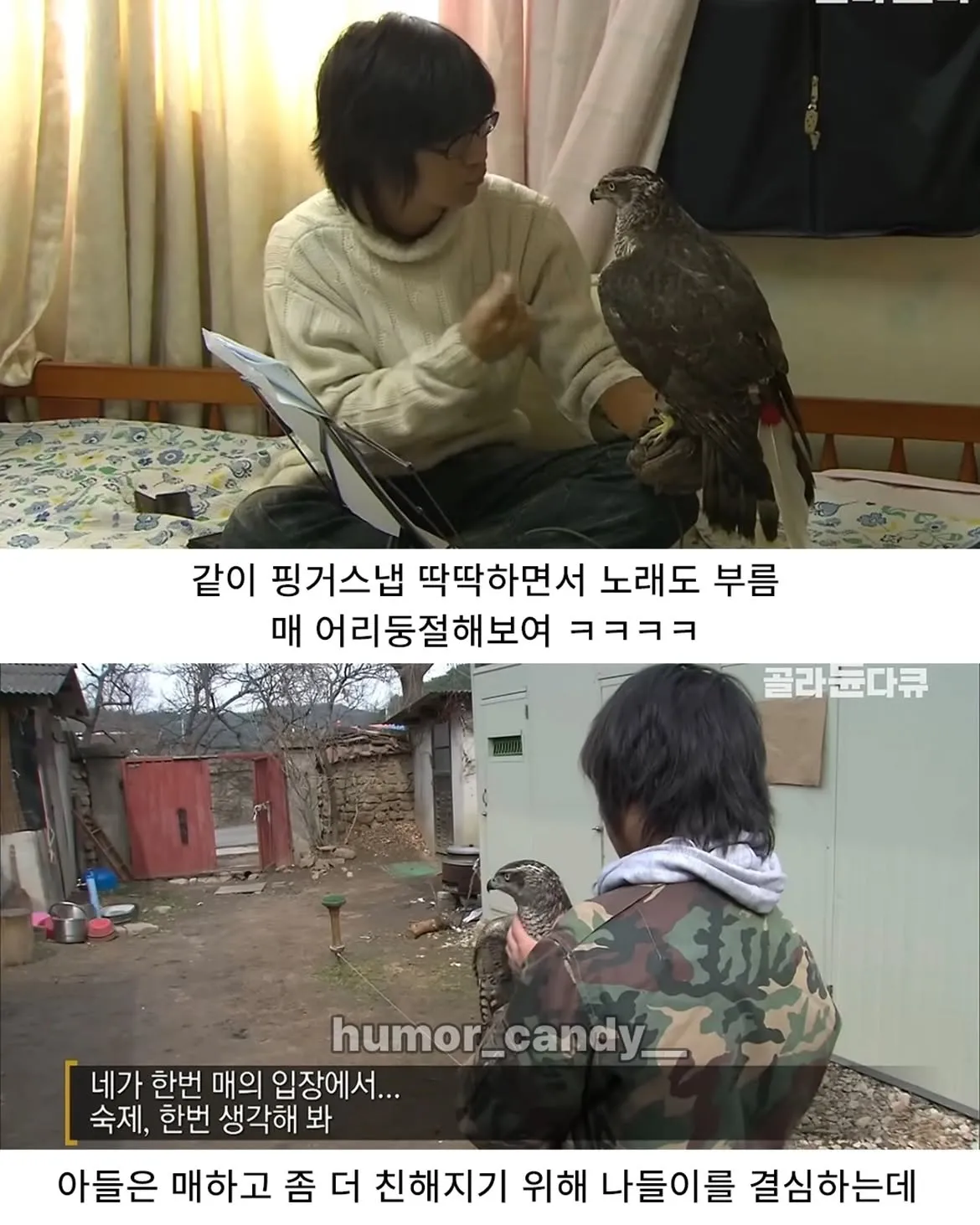 낭만터지는 K드루이드의 탄생