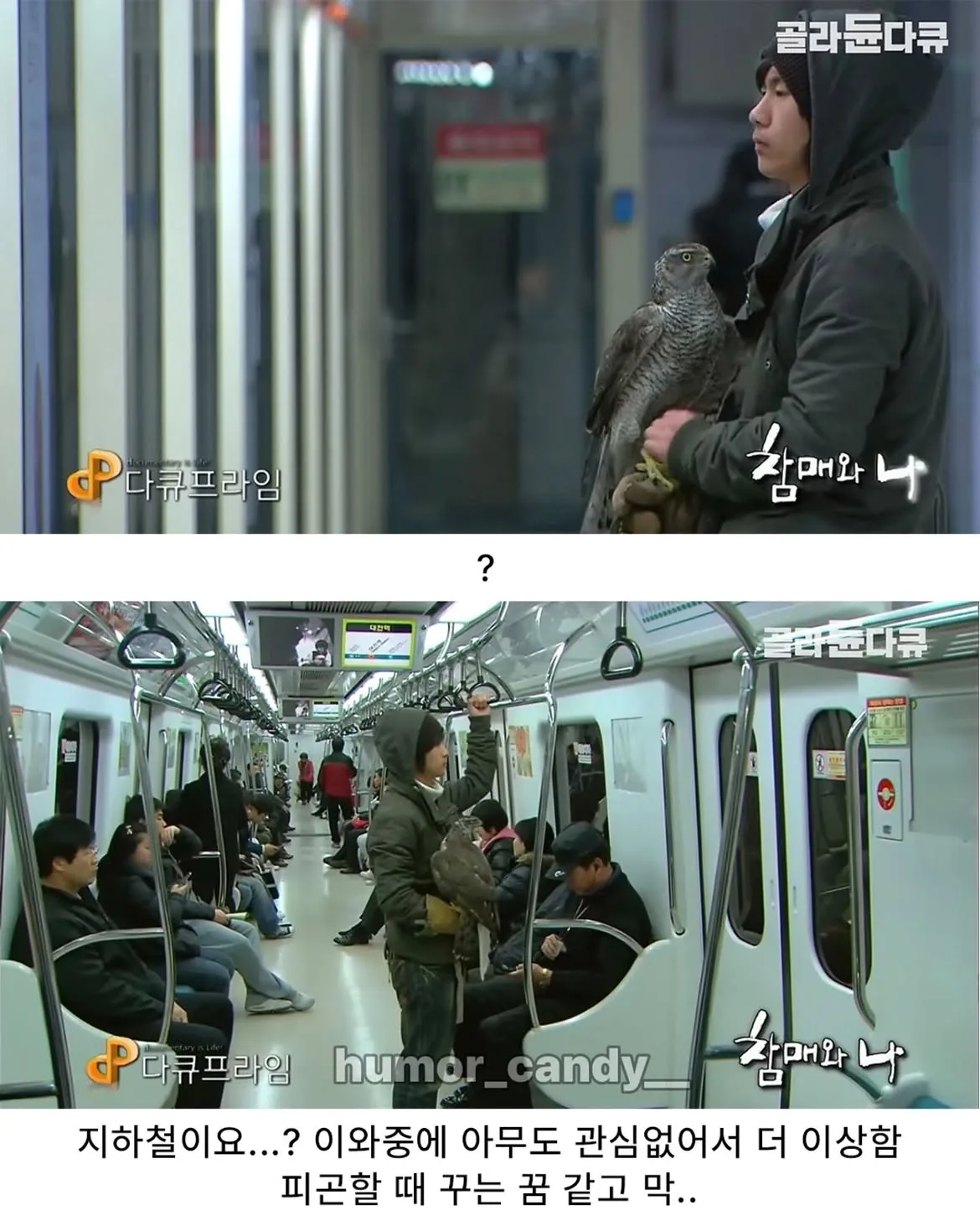 낭만터지는 K드루이드의 탄생