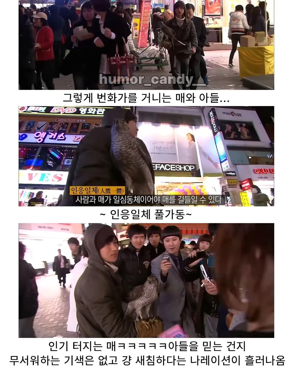 낭만터지는 K드루이드의 탄생