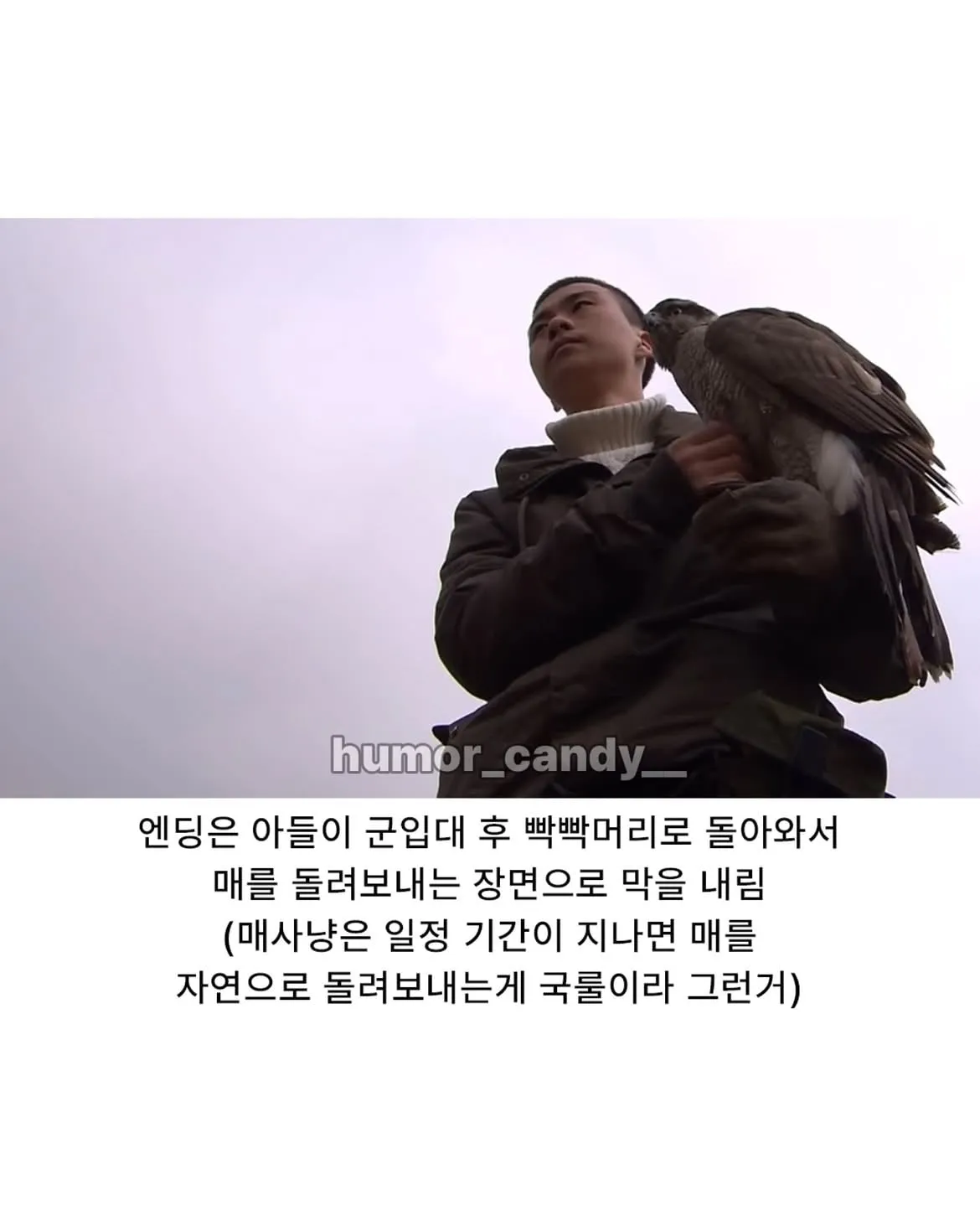 낭만터지는 K드루이드의 탄생