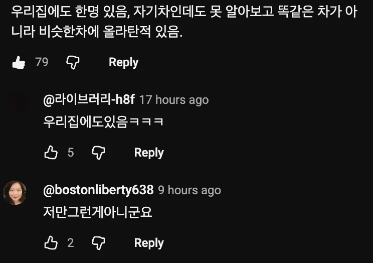 🚗 도난신고된 차를 계속 몰고 다닌 이유 👮