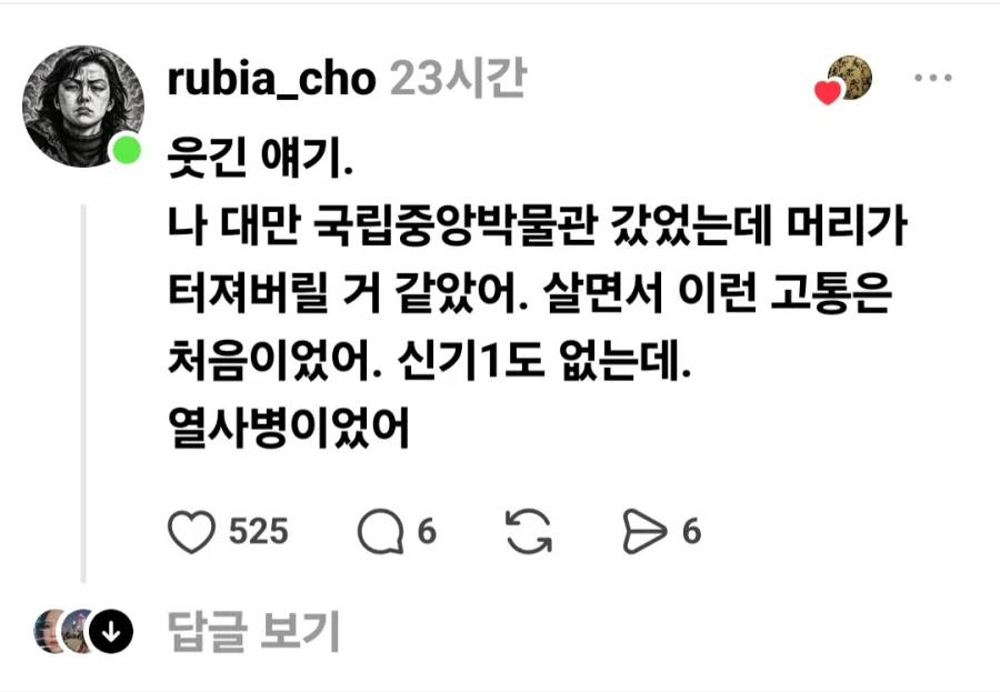 대만 박물관에 갔다가 머리가 터질 뻔 했다는 사람