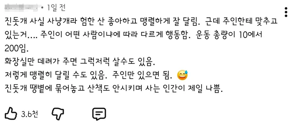 주인에게 맞춰주며 사는 힘숨찐 진돗개
