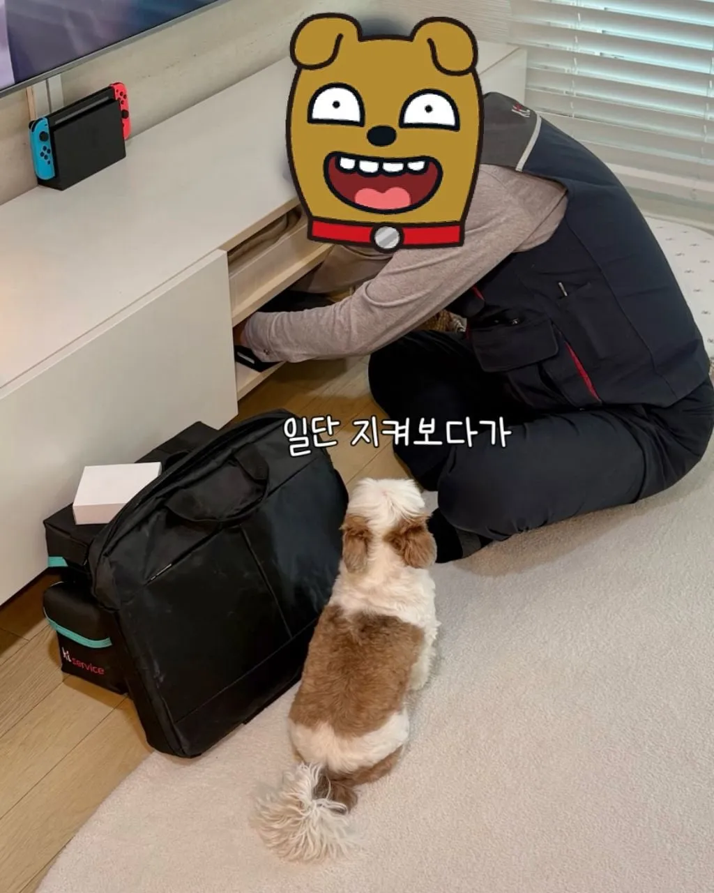 인터넷 기사님이 집에 왔을 때 강아지 반응