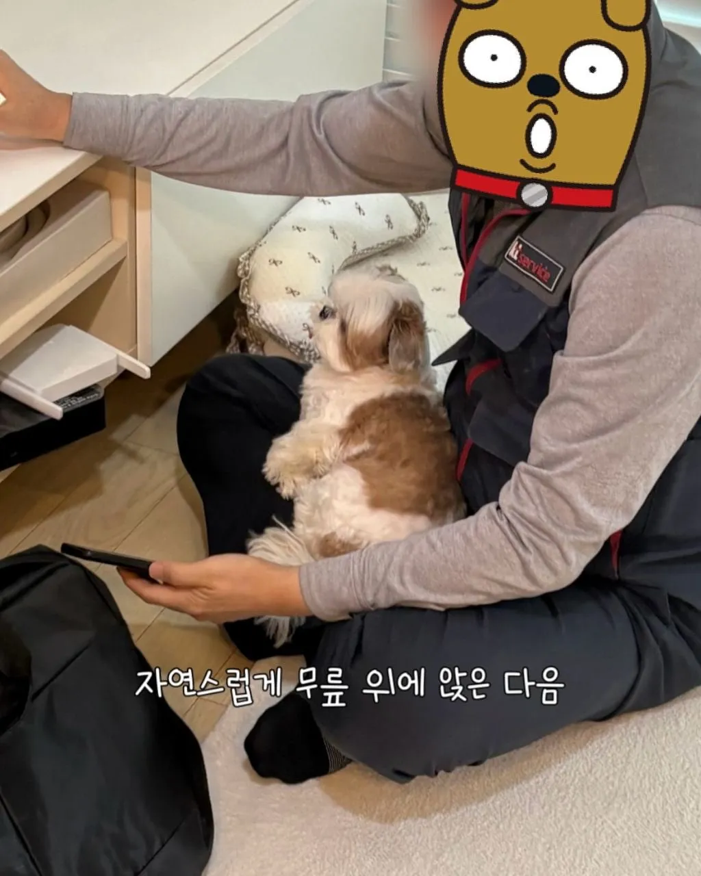 인터넷 기사님이 집에 왔을 때 강아지 반응