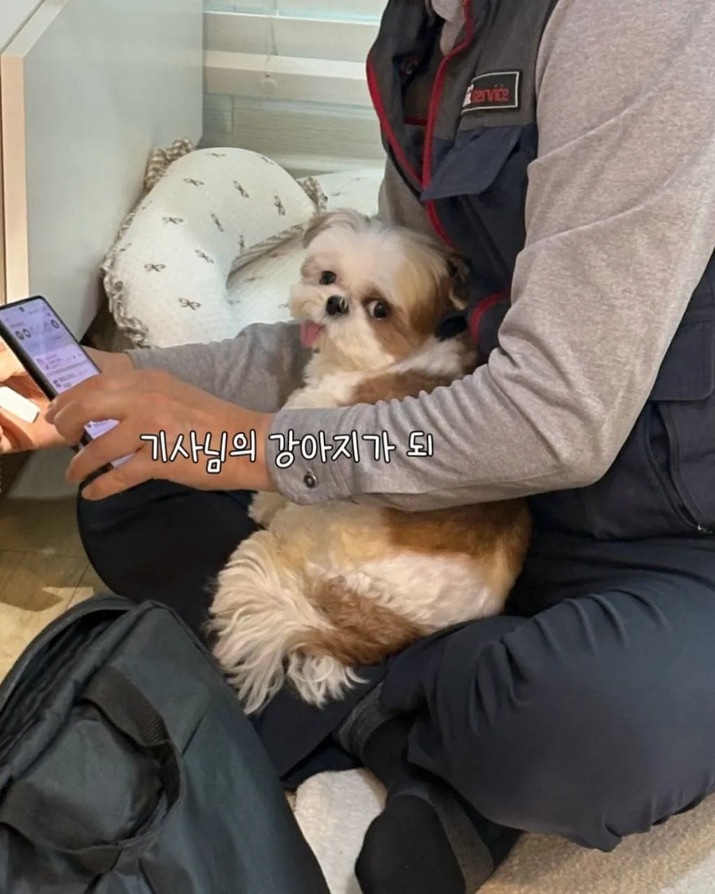 인터넷 기사님이 집에 왔을 때 강아지 반응