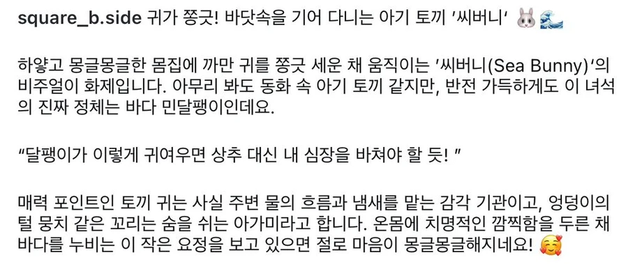 별주부에게 속은 토끼 근황.