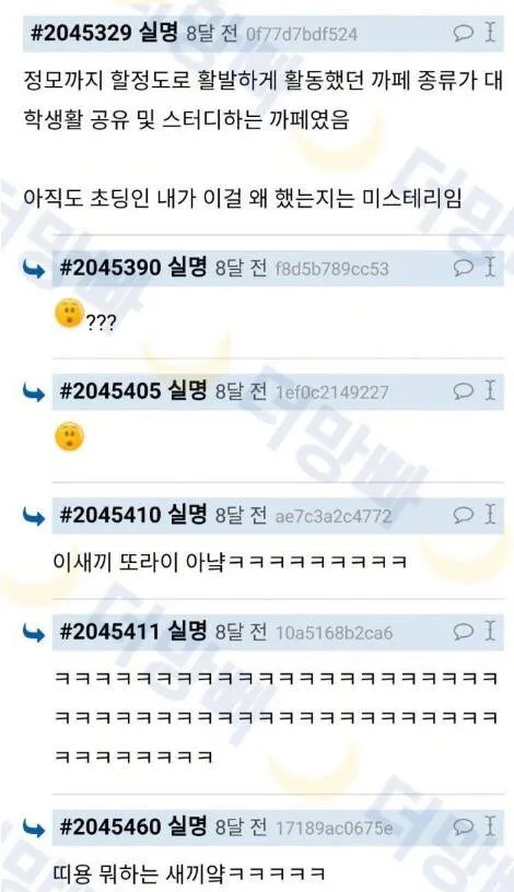 대학정모에 나간 초딩