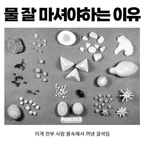 물 잘 마셔야하는 이유