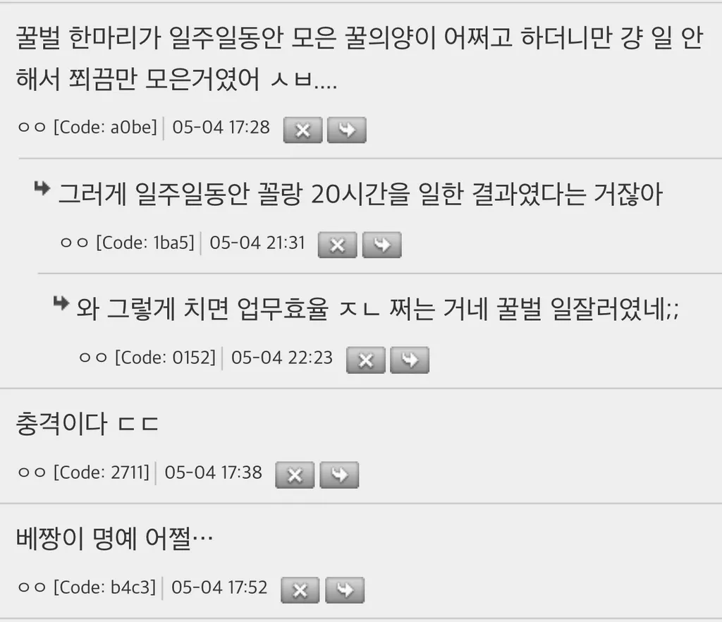 꿀벌이랑 개미 존나 배신감 들어