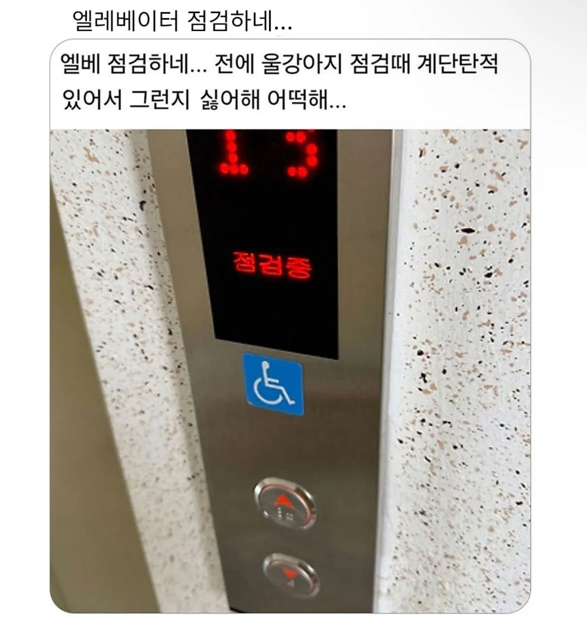 계단이 싫은 시바견.jpg