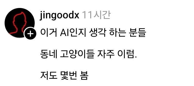 의외로 Ai가 아니라는 모습.jpg