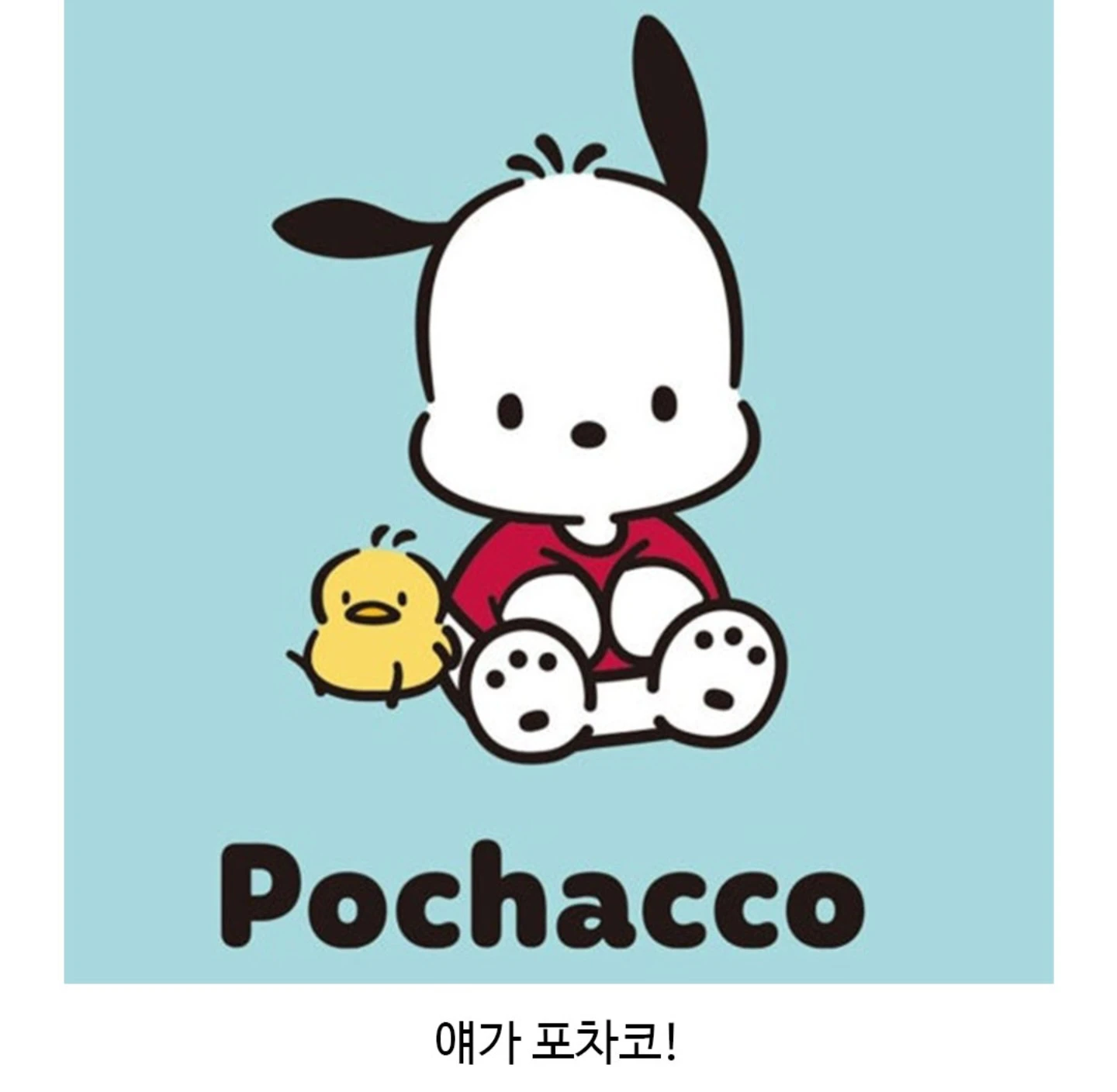 포차코 현실판 강아지