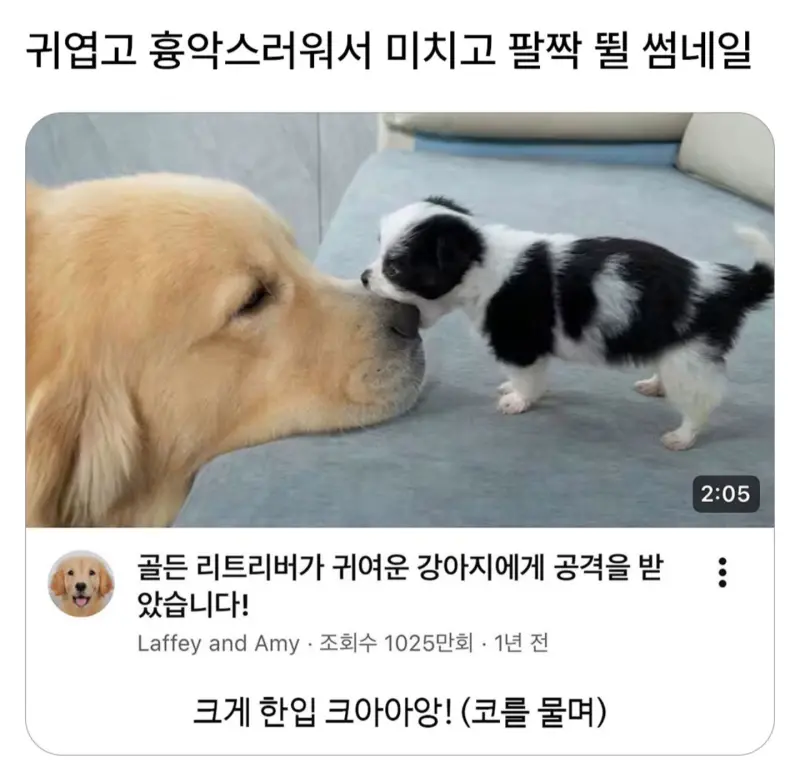 귀엽고 흉악스러운 썸네일