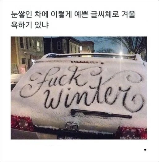 멋진 글씨체로 욕하기
