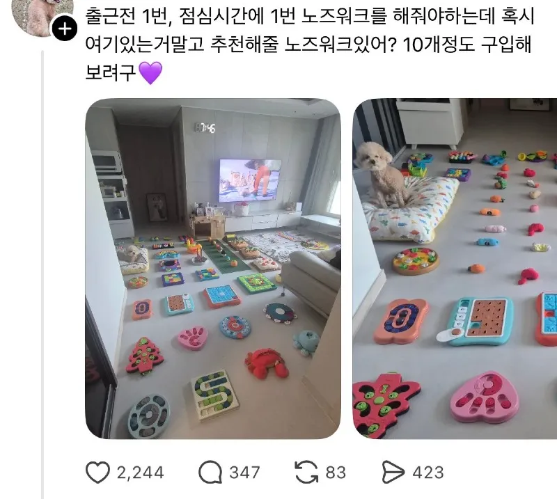 스레드] 조금 당황스러운 강아지 노즈워크 상황