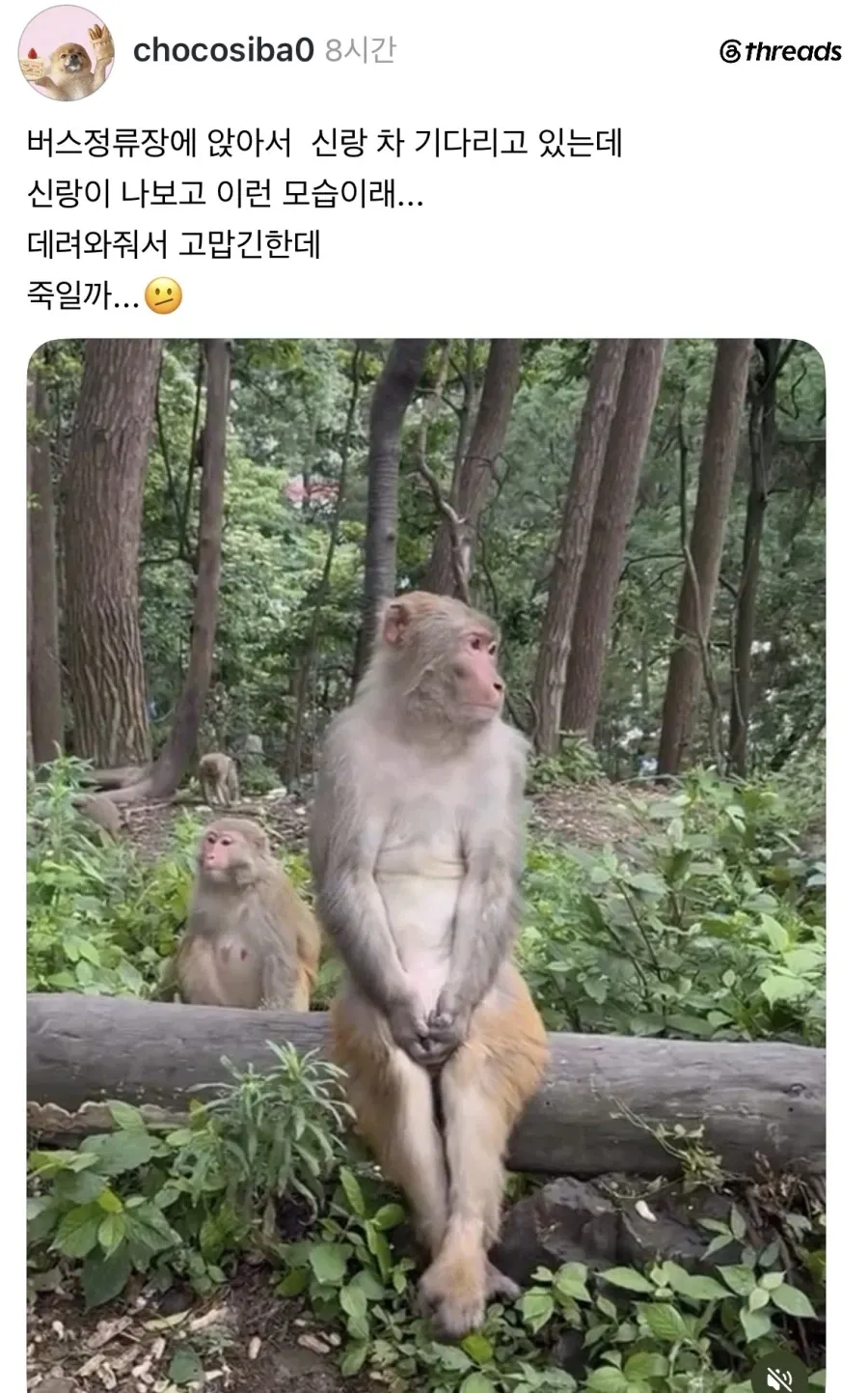 남편차 기다리는 부인 모습.jpg