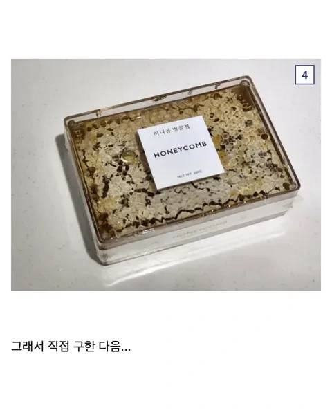 조선 사람들은 초를 먹었다는 역사 기록 검증해 보기