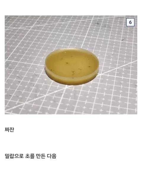 조선 사람들은 초를 먹었다는 역사 기록 검증해 보기