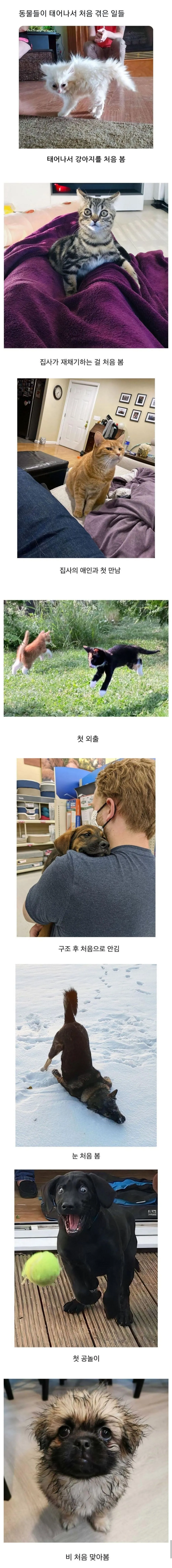 첫경험 모음