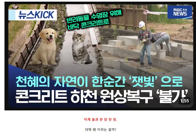 또 문화유산을 파괴해버린 제주도 근황