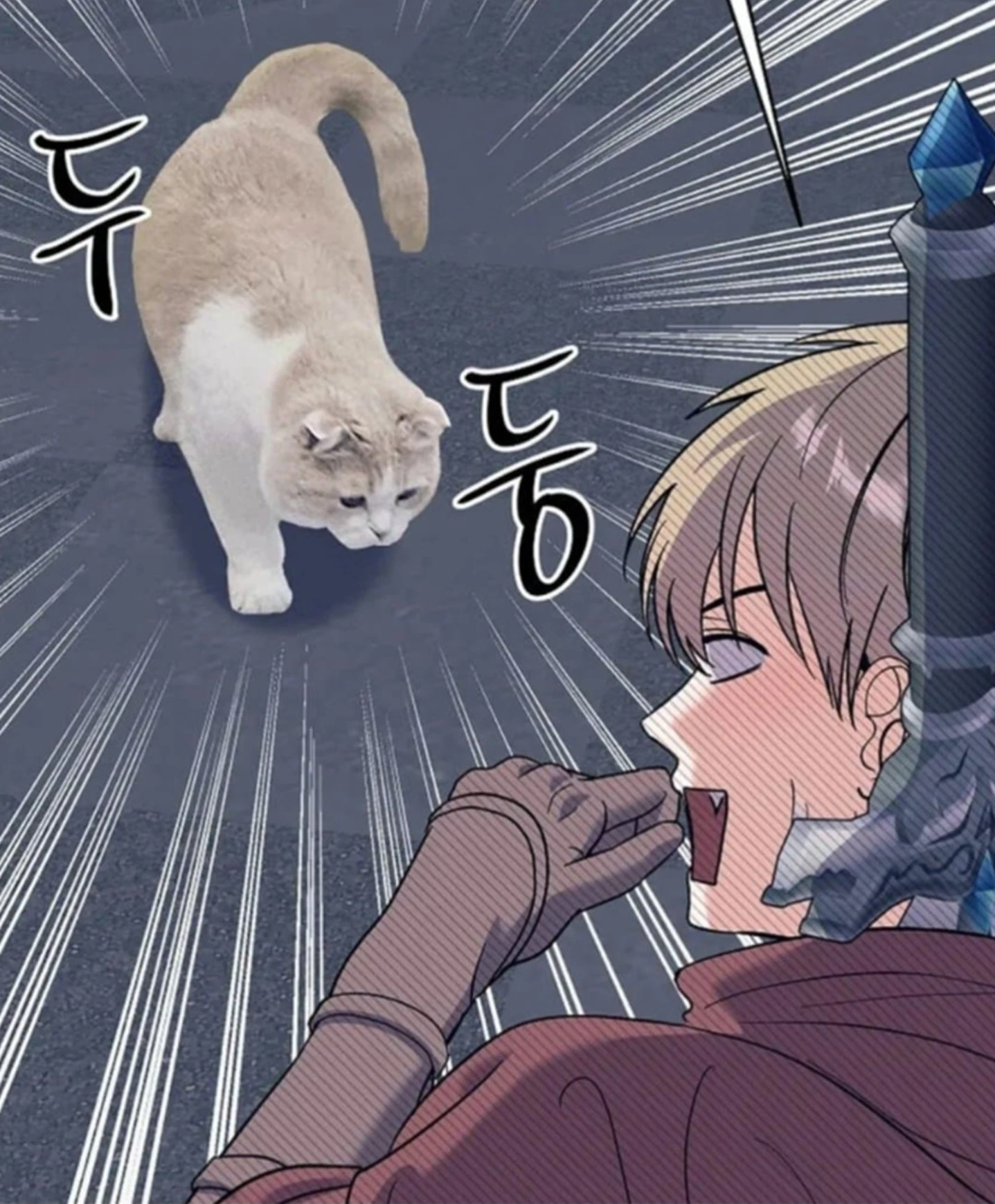 고양이 못 그리는 웹툰작가