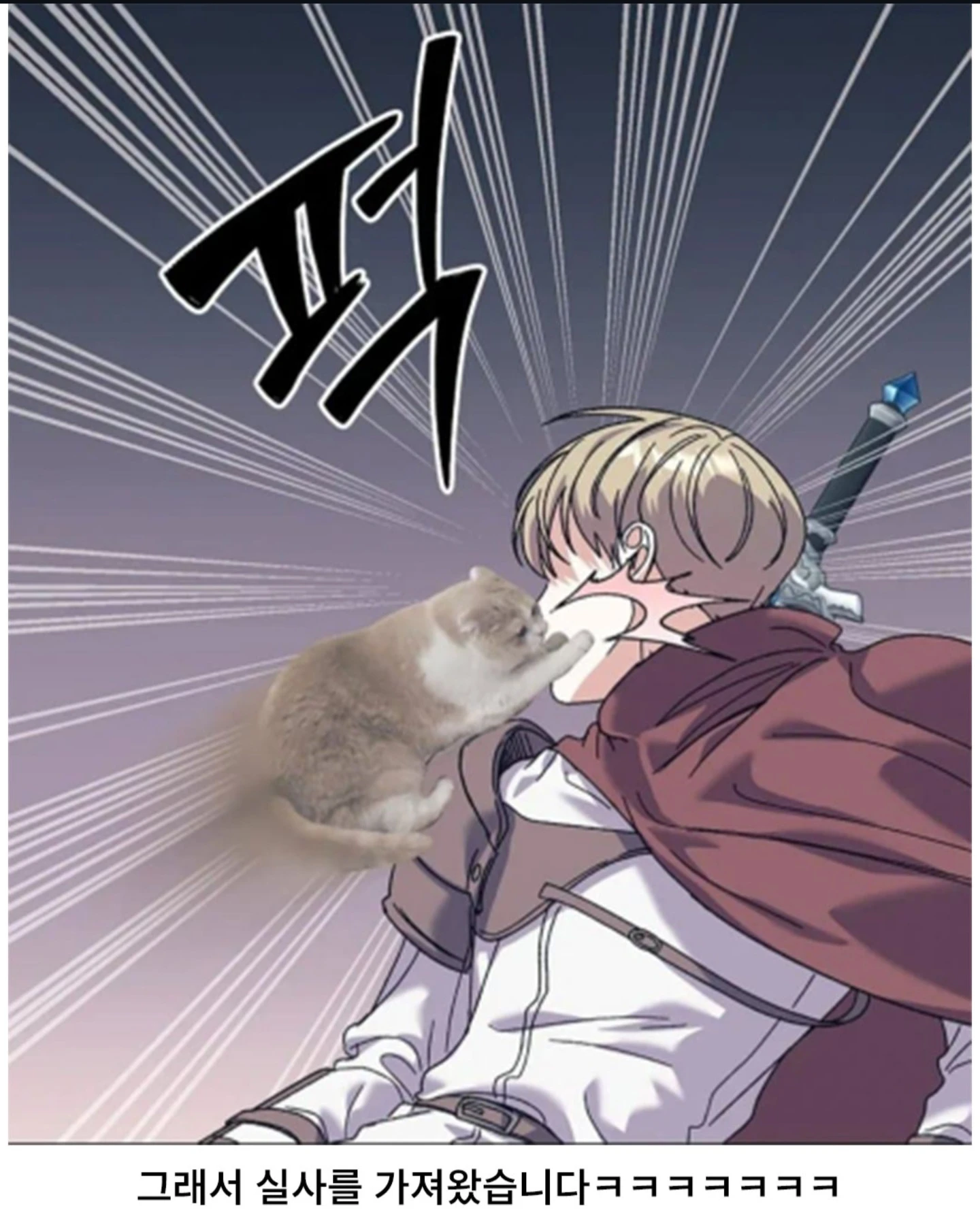 고양이 못 그리는 웹툰작가