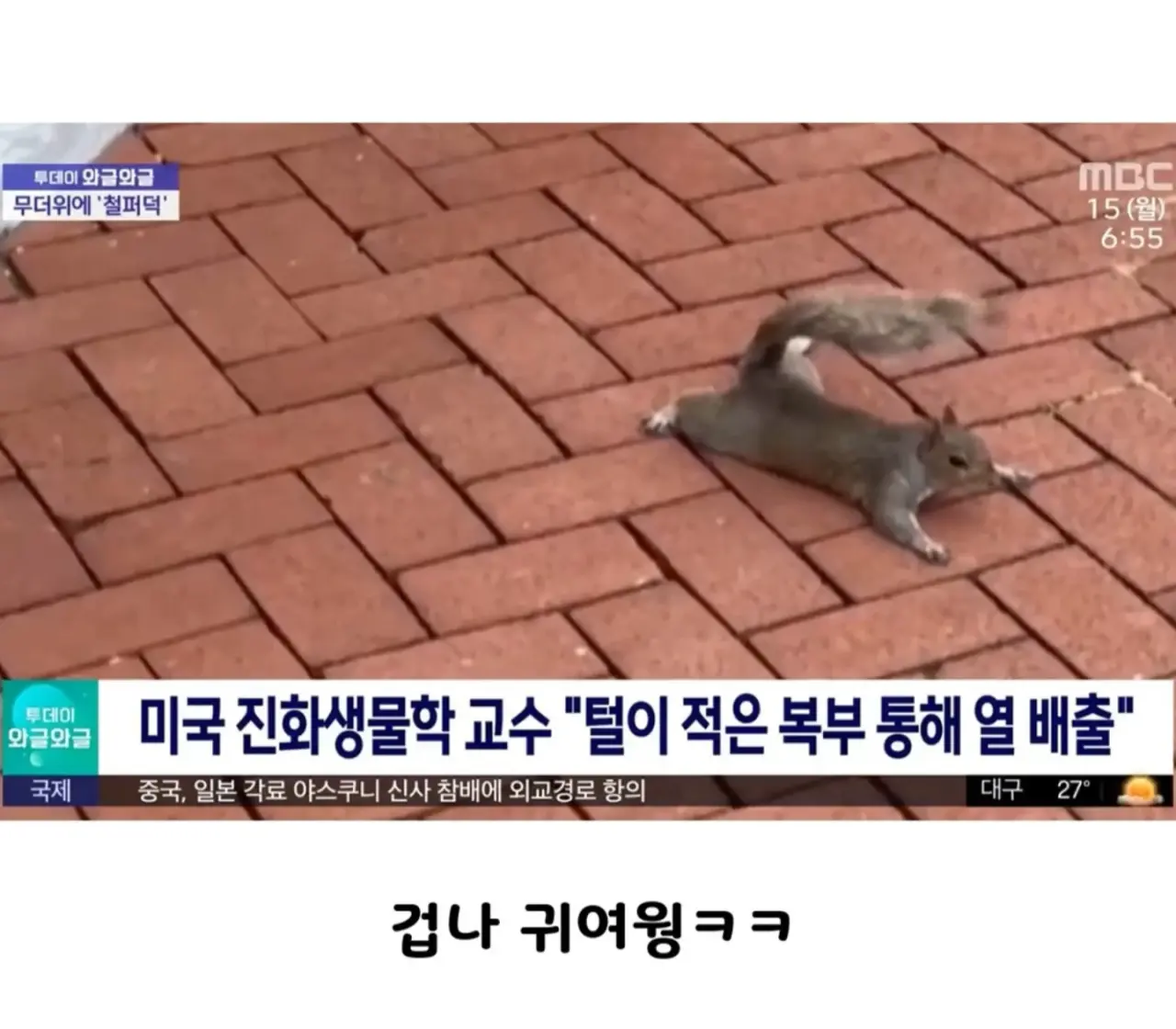 다람쥐가 여름을 나는 방법.jpg