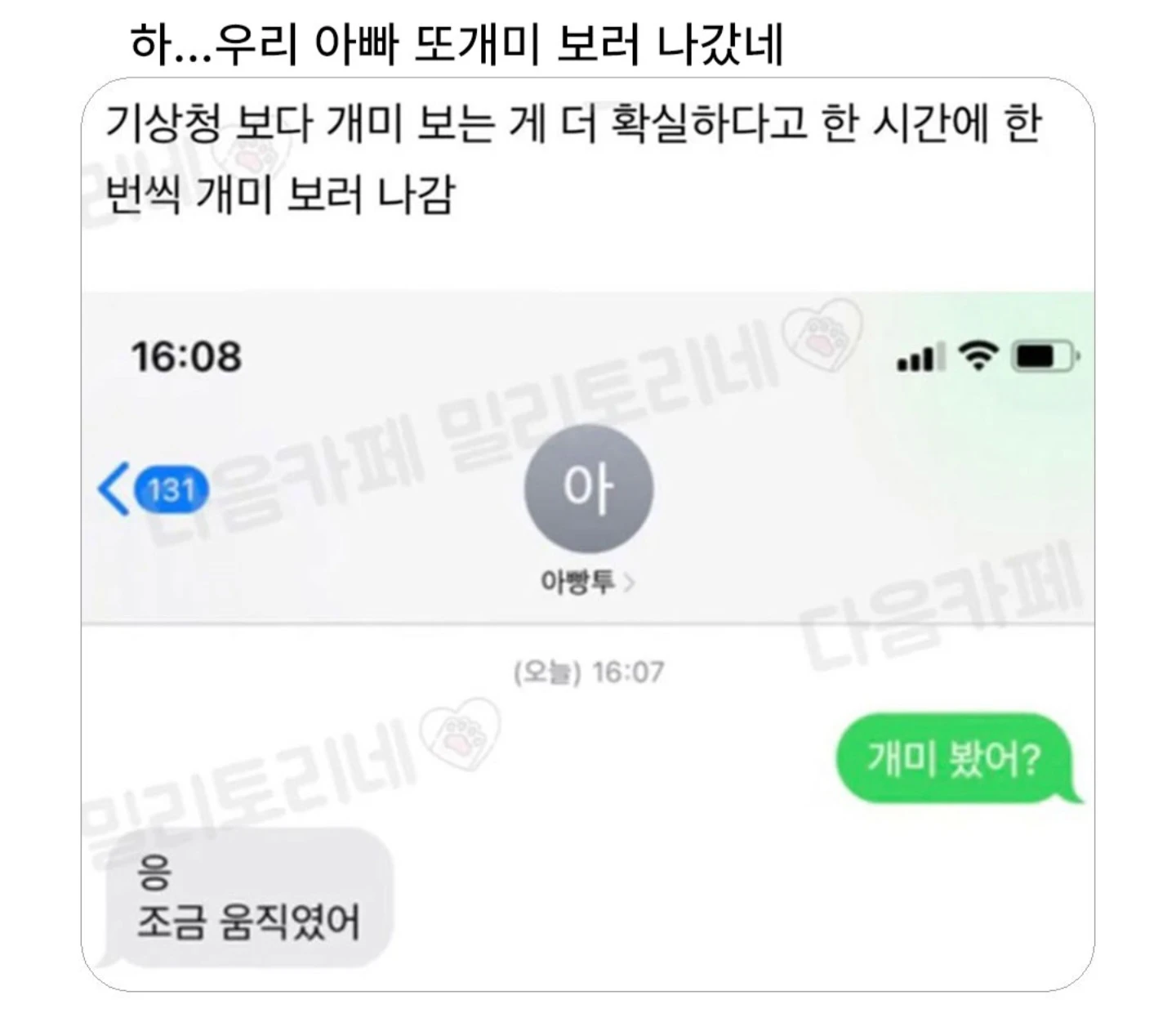 하..우리아빠 또 개미보러 나갔네
