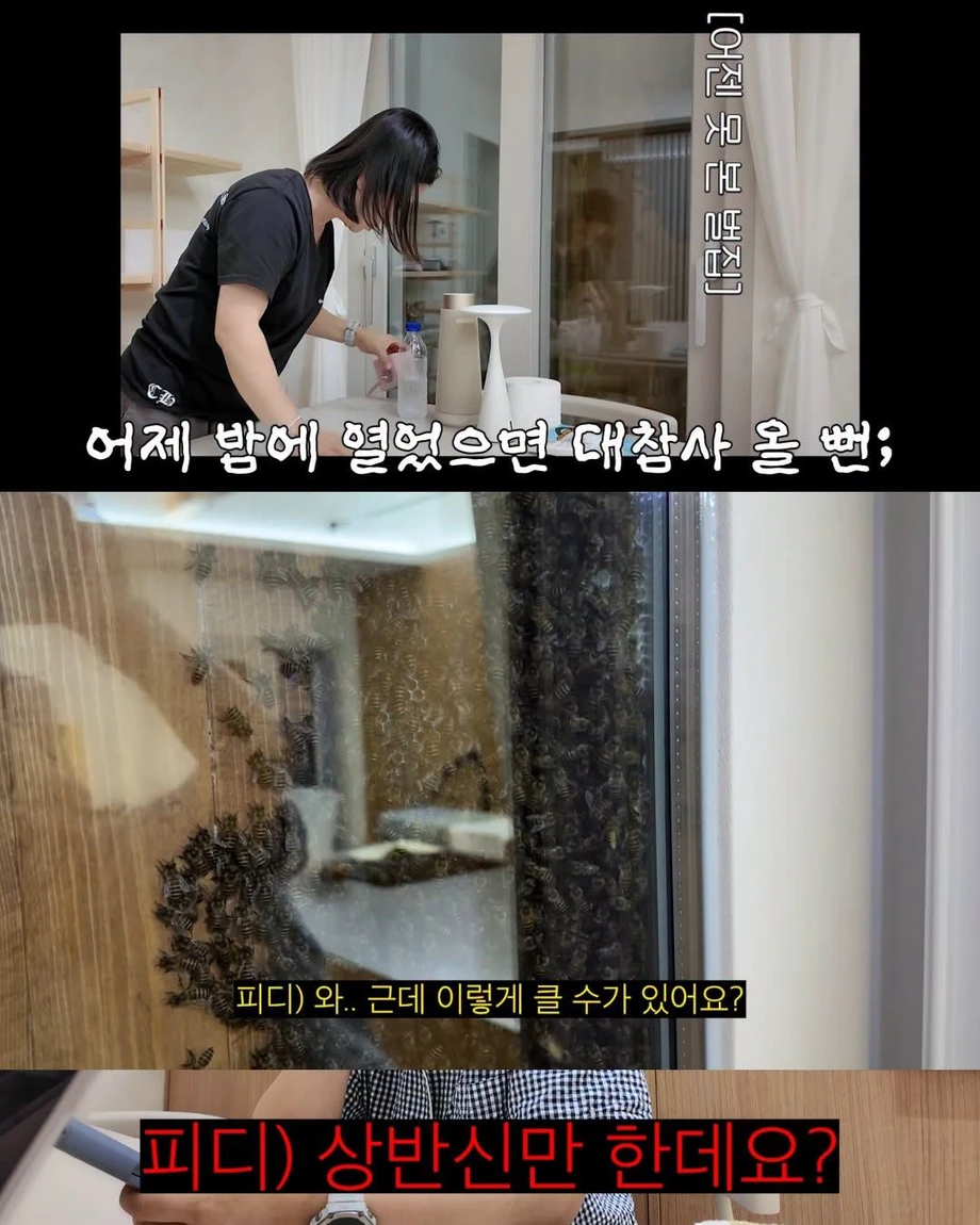2주만에 제주도 집 갔다 119 부른 김숙.jpg