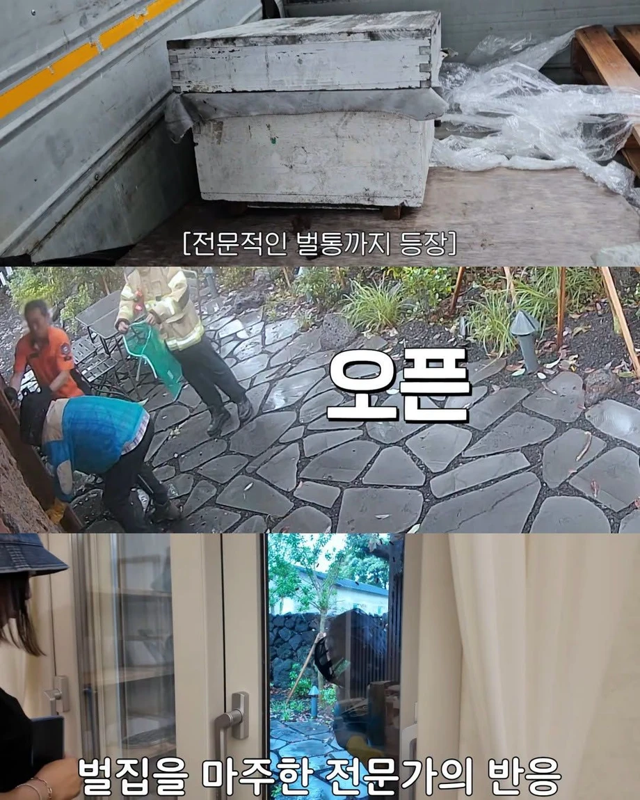 2주만에 제주도 집 갔다 119 부른 김숙.jpg